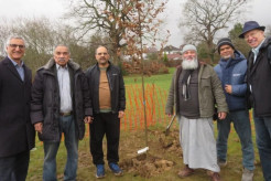 Planting Seeds of Unity