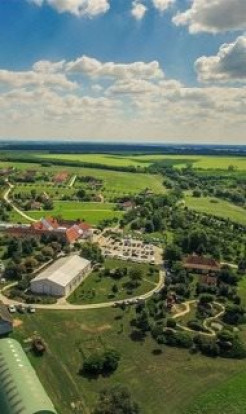 Our Farms, Now More Necessary than Ever