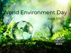 What You Can Do on World Environment Day